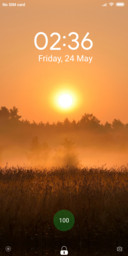 Sun_s_DWM19