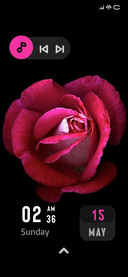 Black Rose