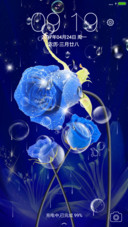 夏夜蓝玫瑰