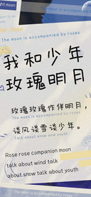 我和少年玫瑰明月