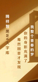 腾祥智黑W4大字库
