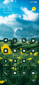 Flower Field