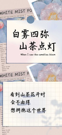 白雾四弥山茶点灯