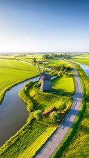 Aerial view of tulip fields in Denmark