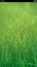  Grass