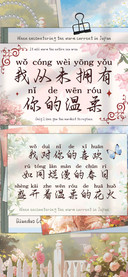 我从未拥有你的温柔