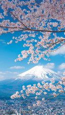 读懂富士山