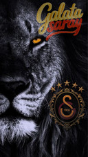 GS Galatasaray 1905