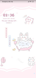 Little Cute Cat