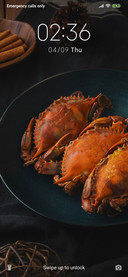 Crab_3MDS