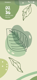 Morandi plants