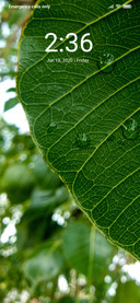 Leaf_DWM2
