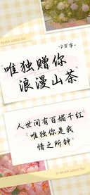 唯独赠你浪漫山茶