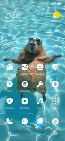 Resort capybara