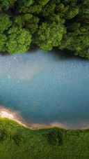Overlooking the river and the woods