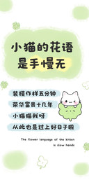 小猫的花语是手慢无