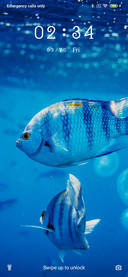 Fish_3mds