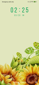 Sunflower_3MDP