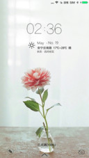 红玫瑰