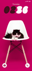 Minimal Kitty