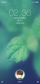 一片绿叶