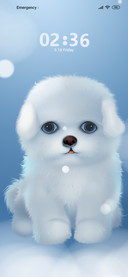 Little Bichon Bear