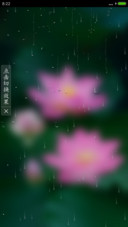 全动态唯美荷花(好评返现)
