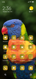 Colourful parrot