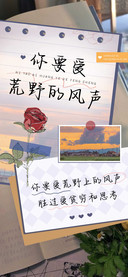 你要爱荒野的风声