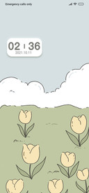 New mimicry tulip