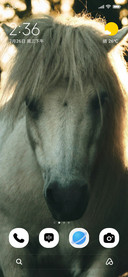 Ivory Stride