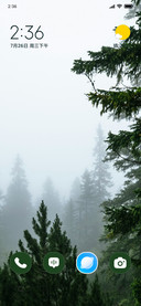 Veiled Forests