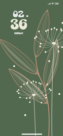Nature Seeds