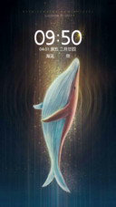 小鲸
