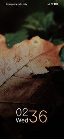 Maple Drizzle