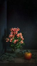 A bush of blooming begonia in a flower pot and a ripe apple