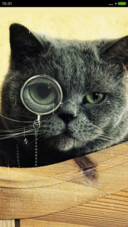 加菲猫%猫星人