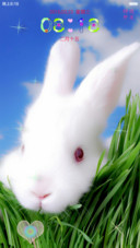 萌 呆兔
