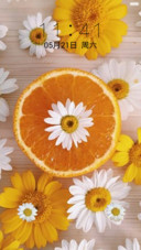 【清新】雏菊Ⅱ碎花风情