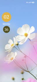 Daisy Sky