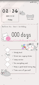 Cute cat