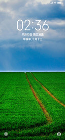 护眼麦田