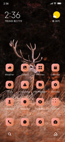Deer Jungle