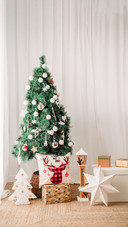 Close up of beautiful Christmas decoration at home