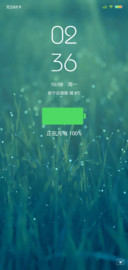 蒲公英 私人定制
