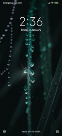 Dew Drop