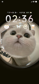 开门 系小猫吖