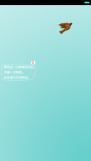 鸟语花香自由飞翔