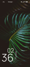 Fern Haven