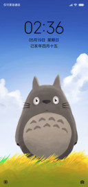 龙猫